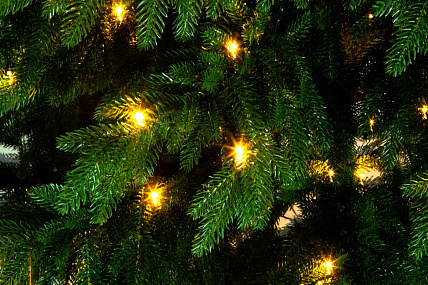 Ель CRYSTAL TREES ВЕРСАЛЬСКИЕ ОГНИ с освещением 230 см. KP22230L